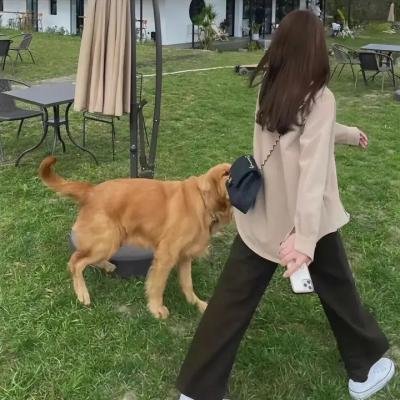 暴力小姐